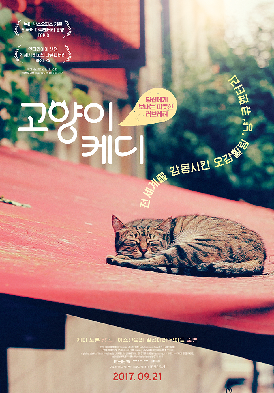 고양이 케디 = Kedi - [DVD]