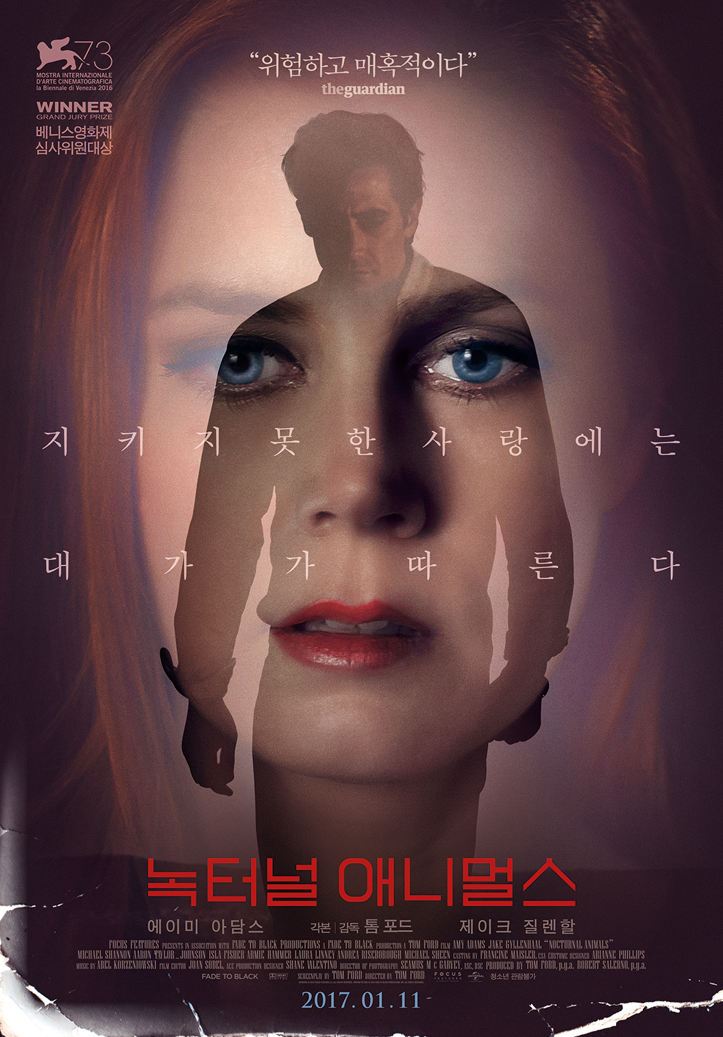 녹터널 애니멀스 = Nocturnal animals - [DVD]