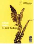 (The) Hawk flies high - [음반CD]