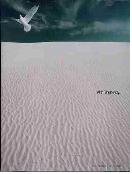 (2001) 실용음악과 졸업작품집 : within living memory.. - [음반CD]