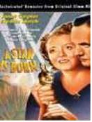 스타탄생 = (A) Star Is Born - [DVD]