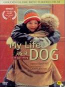 개같은 내 인생 = My Life As a Dog - [DVD]