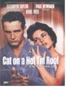 뜨거운 양철지붕위의 고양이 = Cat On a Hot Tin Roof - [DVD]