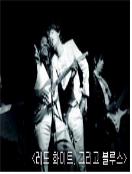 더 블루스 : 레드, 화이트 그리고 블루스 = (The) Blues : Red, White & Blues - [DVD]
