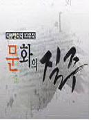 문화의 질주.  (1) : 도시, 문화를 꿈꾸다 - [DVD]