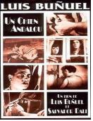 안달루시아의 개 = (Un) Chien Andalou - [DVD]