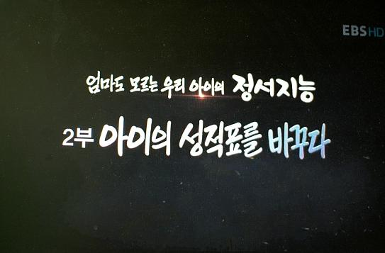 (엄마도 모르는 우리 아이의) 정서지능. 2 : 아이의 성적표를 바꾸다 - [DVD]